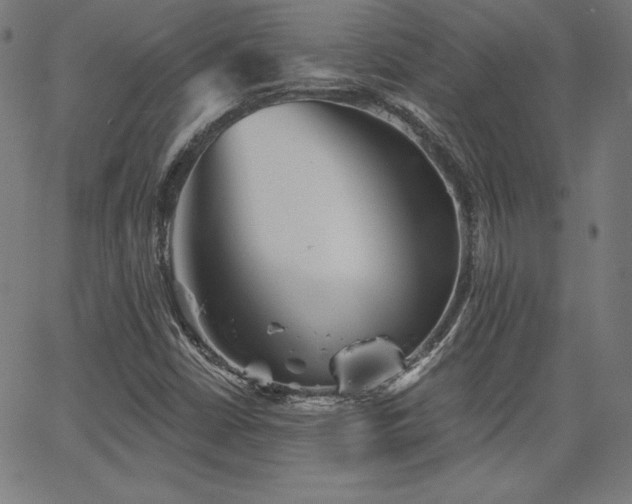 X0000066121402200603101224