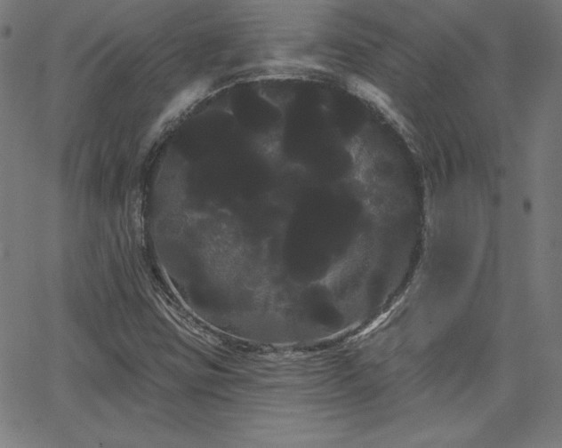 X0000066121403200603101224