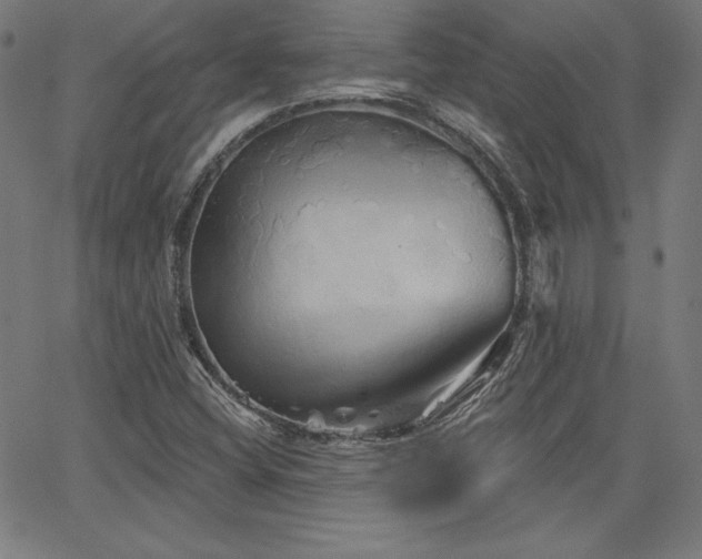 X0000066121404200603101224