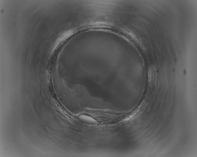 X0000066121405200603101224