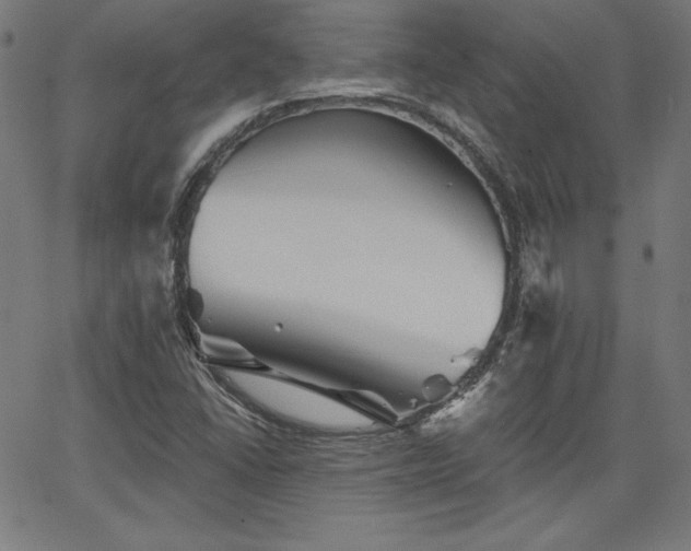 X0000066121406200603101224