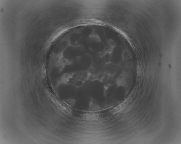 X0000066121407200603101224