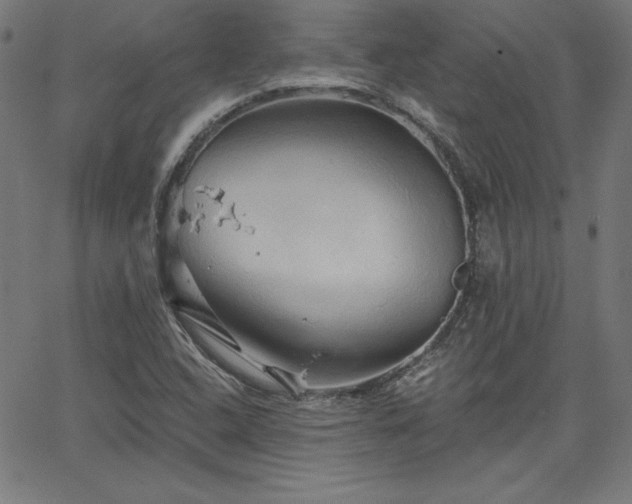 X0000066121408200603101224