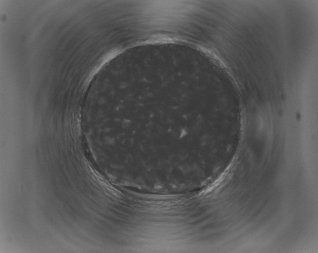 X0000066121409200603101224