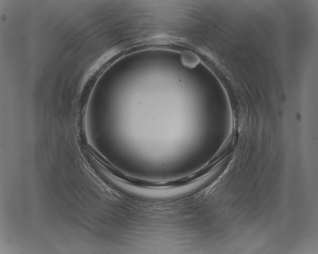 X0000066121410200603101224