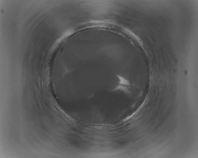 X0000066121411200603101224