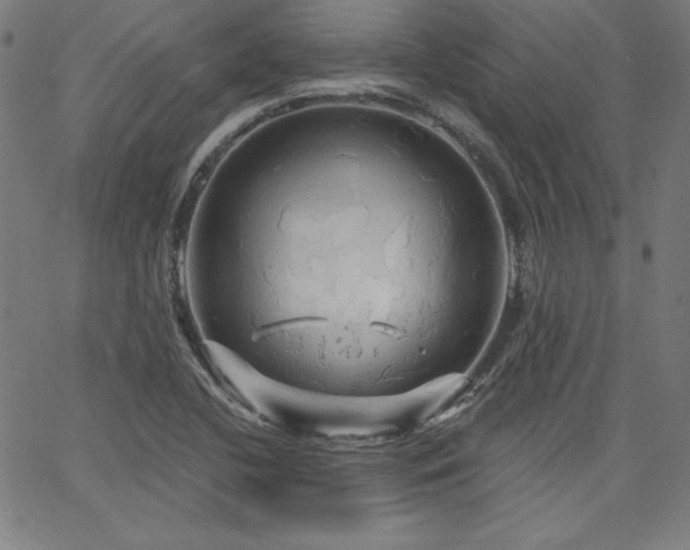 X0000066121412200603101224