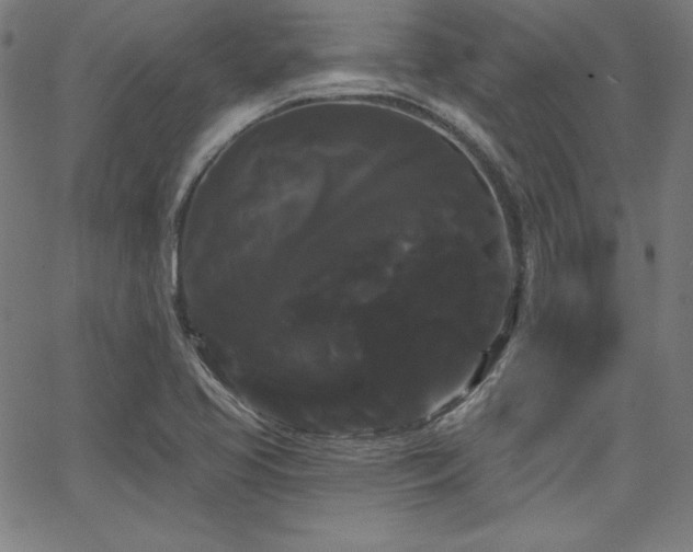 X0000066121413200603101224