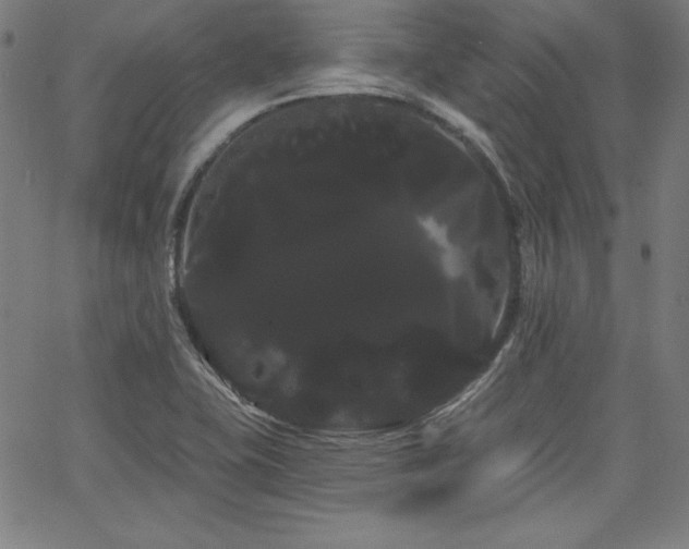 X0000066121415200603101224