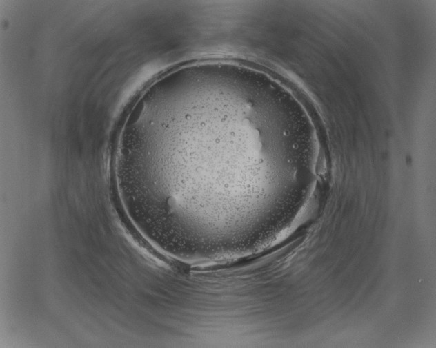 X0000066121416200603101224