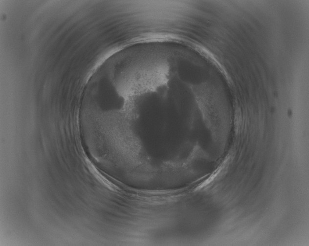 X0000066121417200603101224