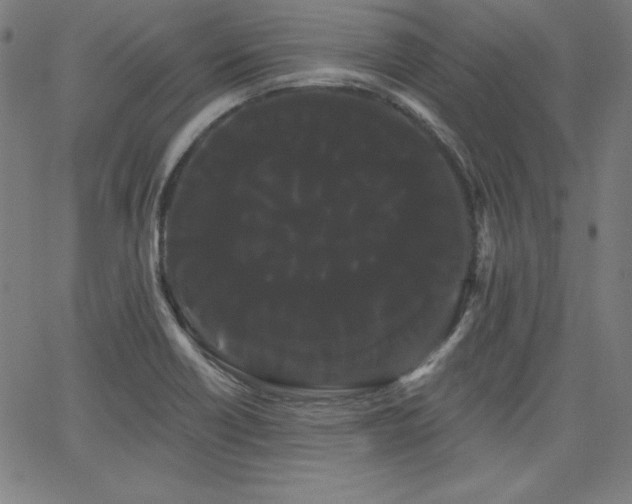 X0000066121418200603101224