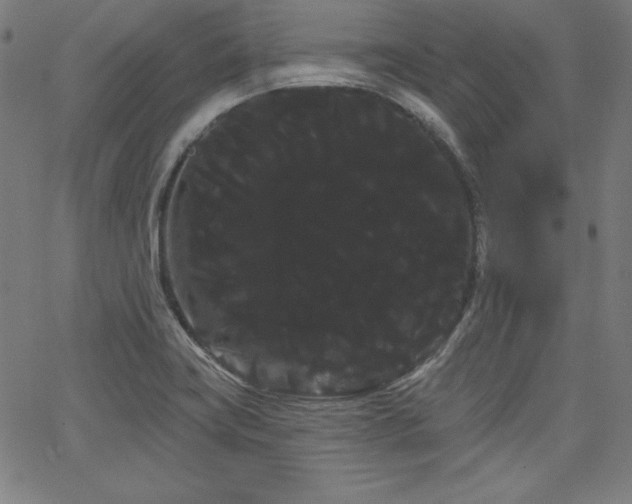 X0000066121419200603101224