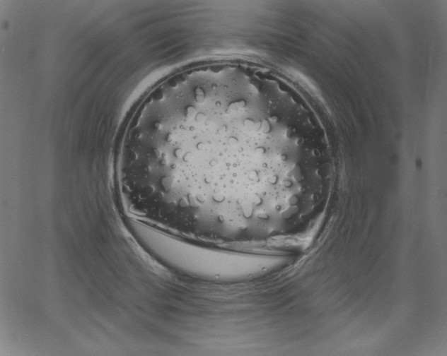 X0000066121420200603101224