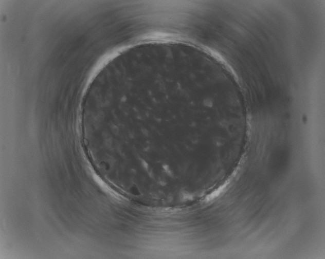 X0000066121421200603101224