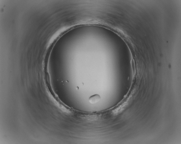 X0000066121422200603101224