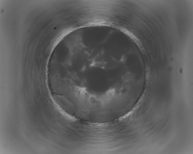 X0000066121423200603101224