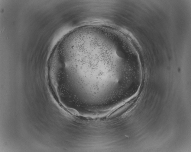 X0000066121424200603101224