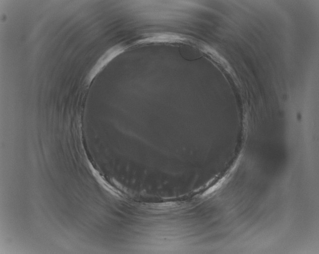 X0000066121425200603101224