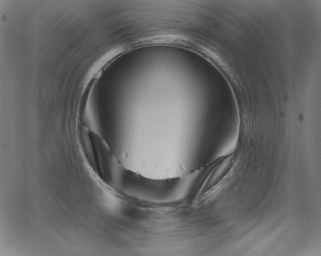 X0000066121426200603101224