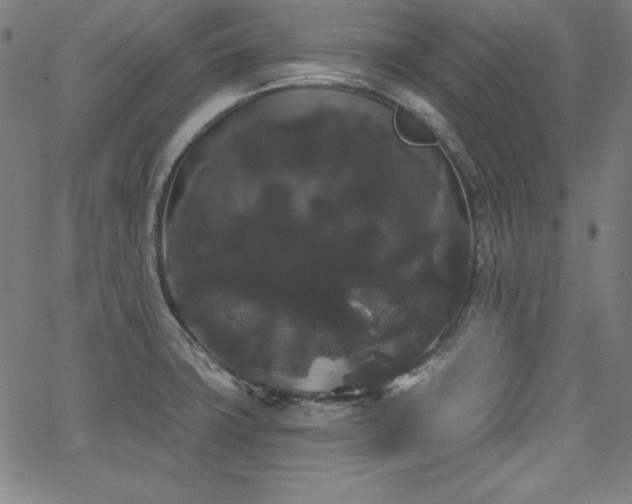 X0000066121427200603101224