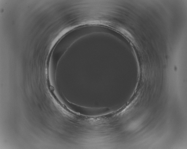 X0000066121428200603101224