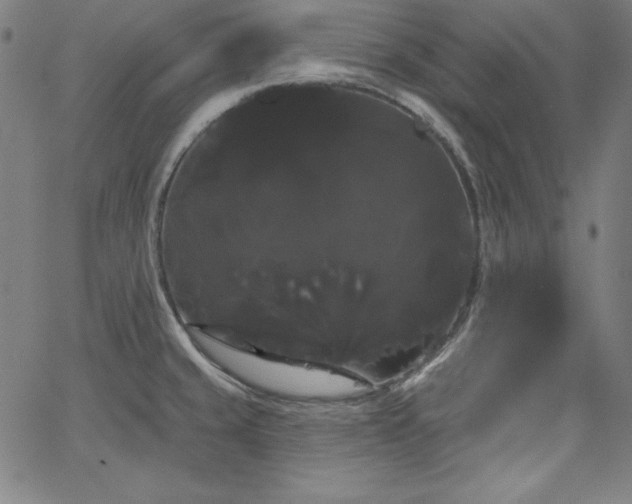 X0000066121429200603101224