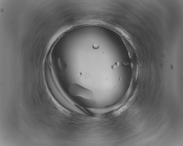 X0000066121430200603101224