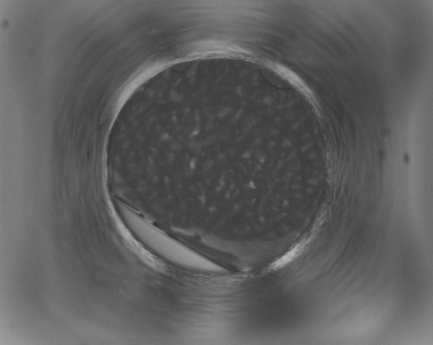 X0000066121431200603101224