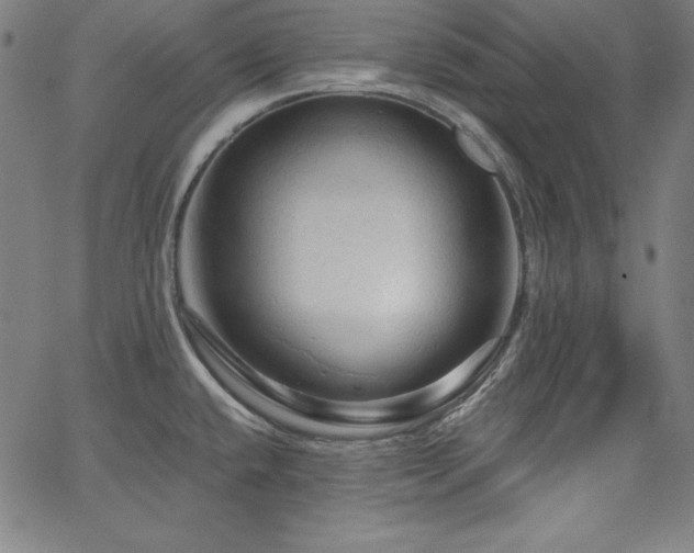 X0000066121432200603101224