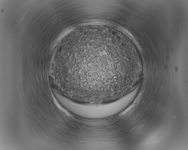 X0000066121433200603101224