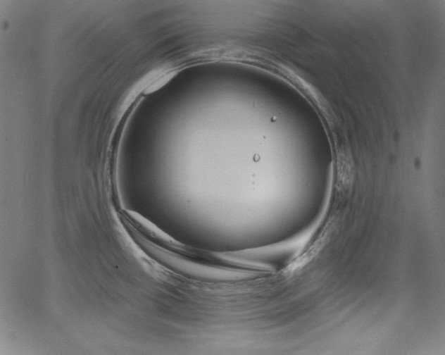 X0000066121434200603101224