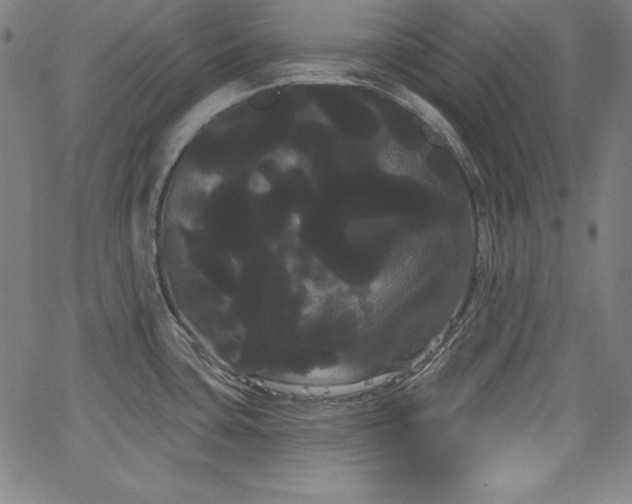 X0000066121435200603101224