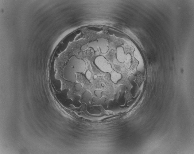 X0000066121436200603101224