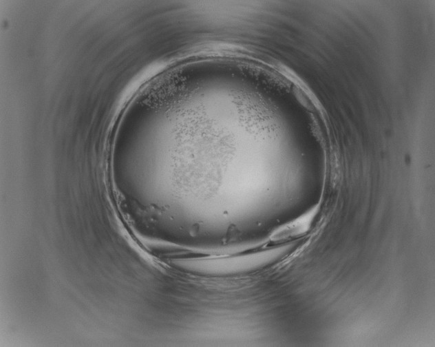 X0000066121437200603101224