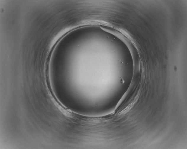 X0000066121438200603101224