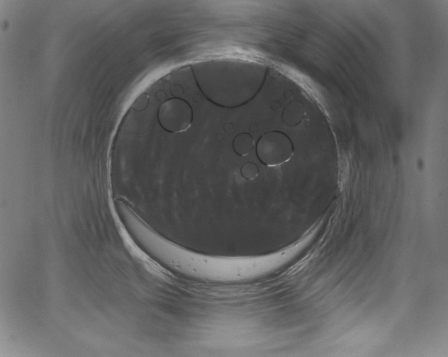 X0000066121439200603101224