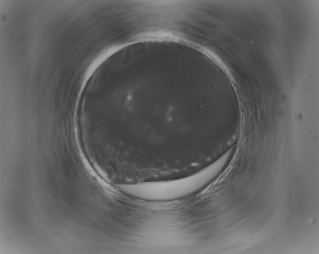 X0000066121440200603101224