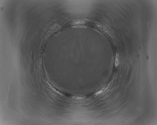 X0000066121441200603101224