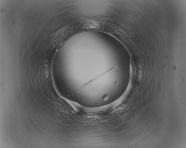 X0000066121442200603101224