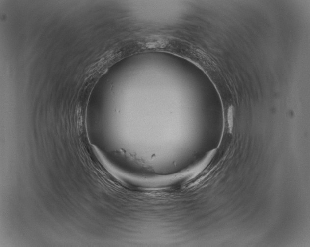 X0000066121443200603101224