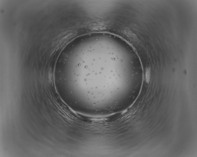 X0000066121444200603101224