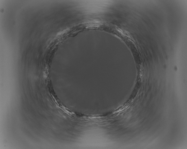 X0000066121445200603101224