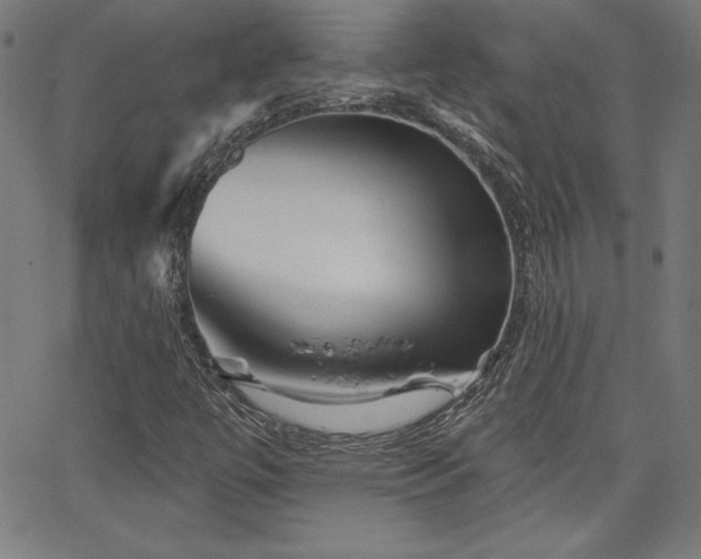 X0000066121447200603101224