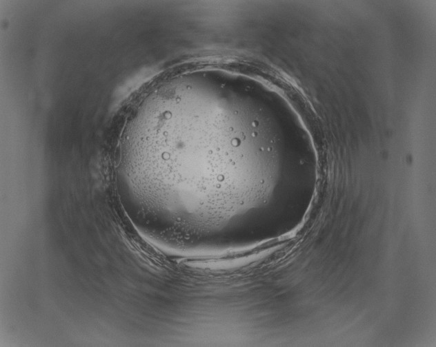 X0000066121448200603101223