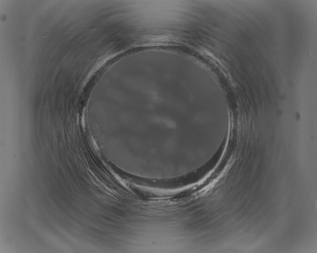 X0000066121449200603101223