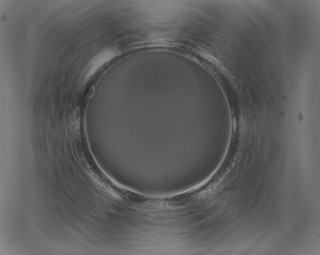 X0000066121450200603101223