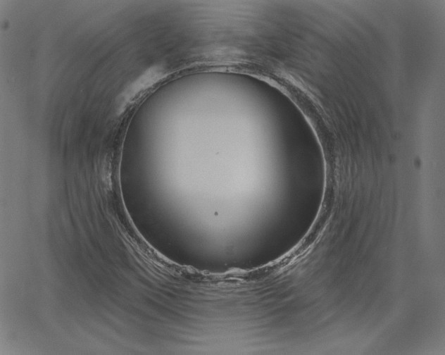 X0000066121451200603101223