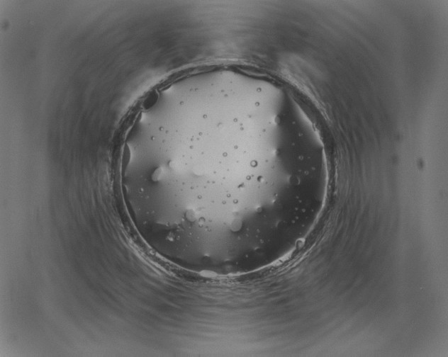 X0000066121452200603101223