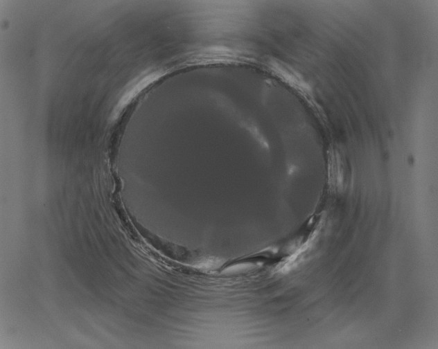 X0000066121453200603101223